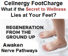 lifepharm global cellnergy wellness foot charge